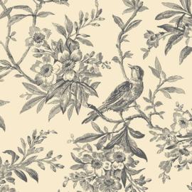 TOILE R360990D  CHARCOAL
