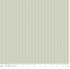 1/8" STRIPE ON IVORY SAGE || C505