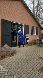 Blog...Sinterklaas bee