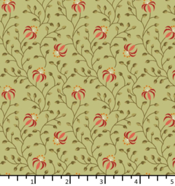 Lily - Light Olive || BT 24 07 01