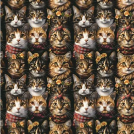 Devonstone || Eddie & Esther