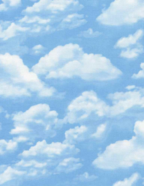 SKY GM-CD2188