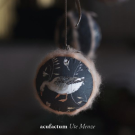 Acufactum Grijze Ganzen 3523 855