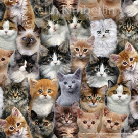 Blog...Nieuw binnen - quiltstof met poezen en katten