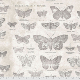 Quilstof met vlinders - Tim Holtz - eclectic elements 125PWTH004PAR