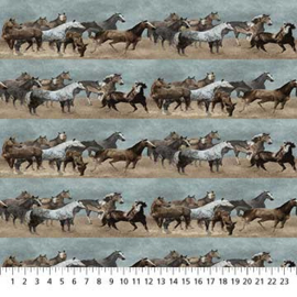 Frontier 25181-64 Horse Border Stripe Heritage Blue Multi