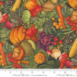 Farm And Garden Veggies || 7471 11