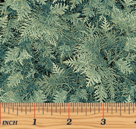 A Winter's Day || Grand Fir Green