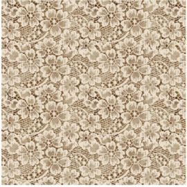 Modern Lace || B3711-41 IVORY