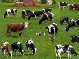 Quiltstof met afbeelding van verschillende koeien rassen 337