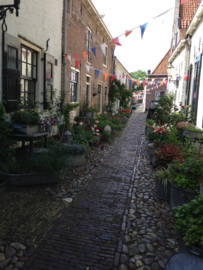 Blog...Koningsdag 2019