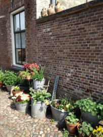 Blog...Koningsdag 2019