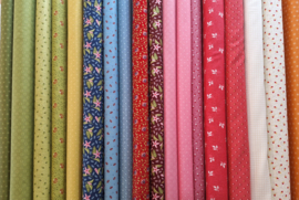 EQP Mysterie 2024 stoffenpakket van Ellen Remijnse van Ellie's Quiltplace