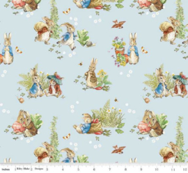 Peter Rabbit en Benjamin Bunny - blue