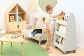 Boekenkast / boekenwagen (in 10 kleuren)