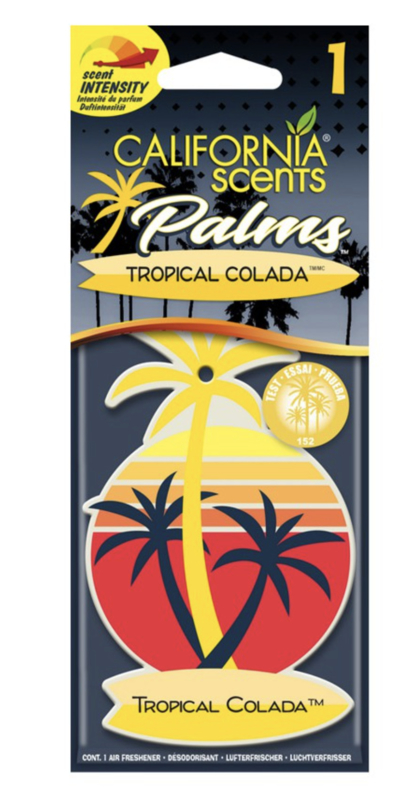 HANGING PALM Tropical Colada