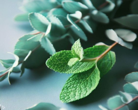 Spearmint & Eucalyptus