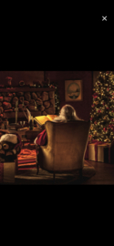 Santa's grotto