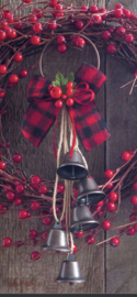 Mistle toe kiss (kissed the Apple)