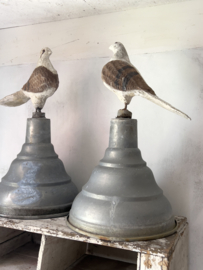 Set of 2 french doves on statue