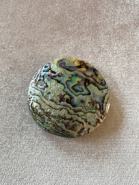 Beautiful abalone vintage brooch