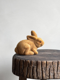 Hare