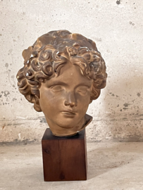 Beautiful french bust