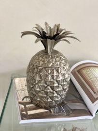 Beautiful ice bucket pine apple