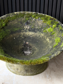 Concrete planter by Willy Guhl