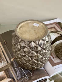 Beautiful ice bucket pine apple