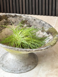 Antieke Willy Guhl plantenbak/ vaas