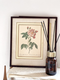 Framed Redouté Rose print