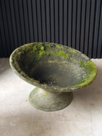 Concrete planter by Willy Guhl