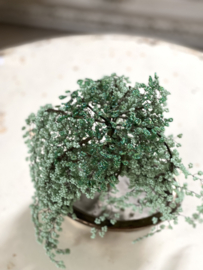 Oud kralen bonsai boompje