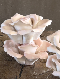 4 biscuit porcelain roses