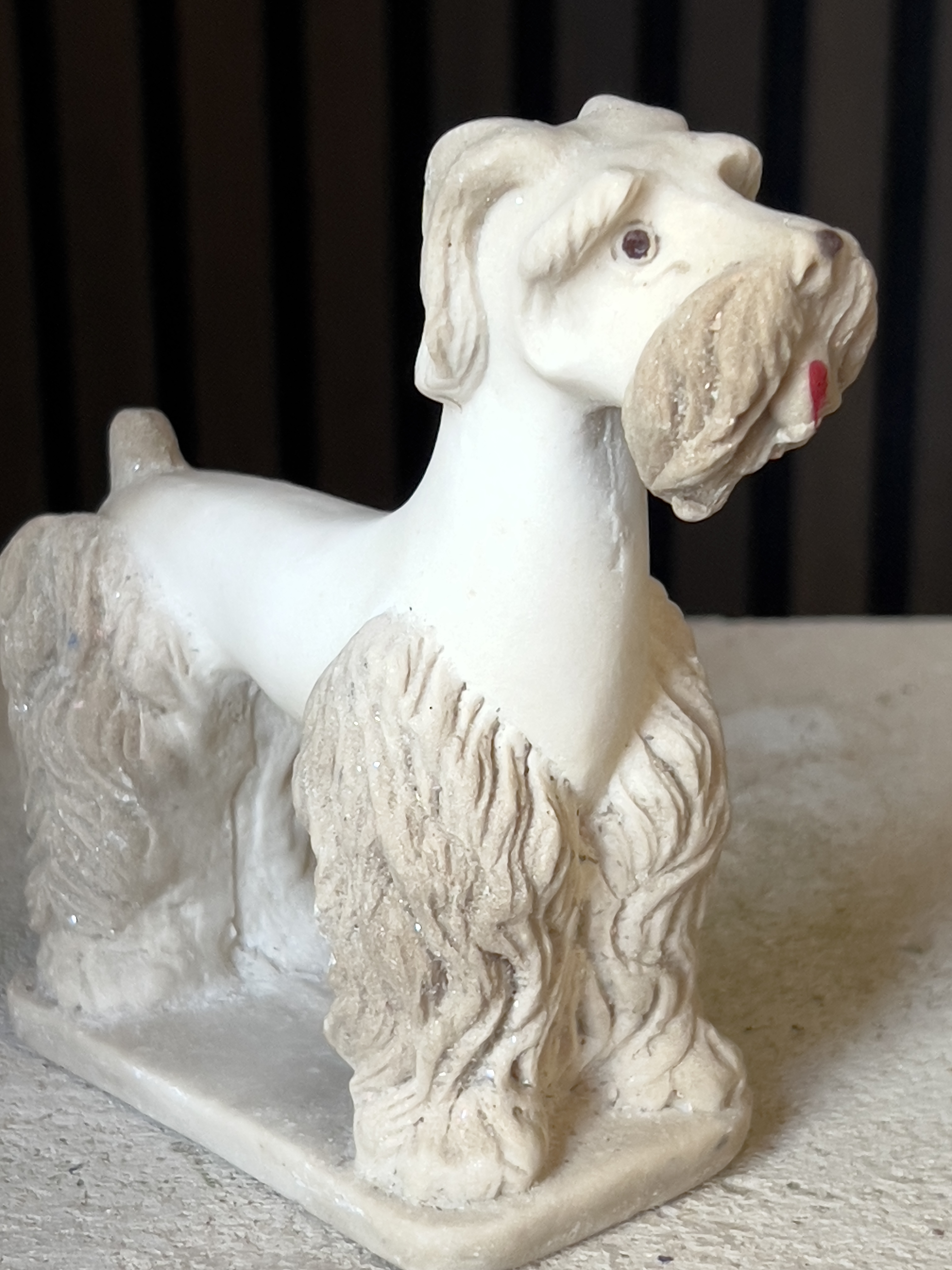Oude terrier snauzer