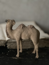 Flock kameel