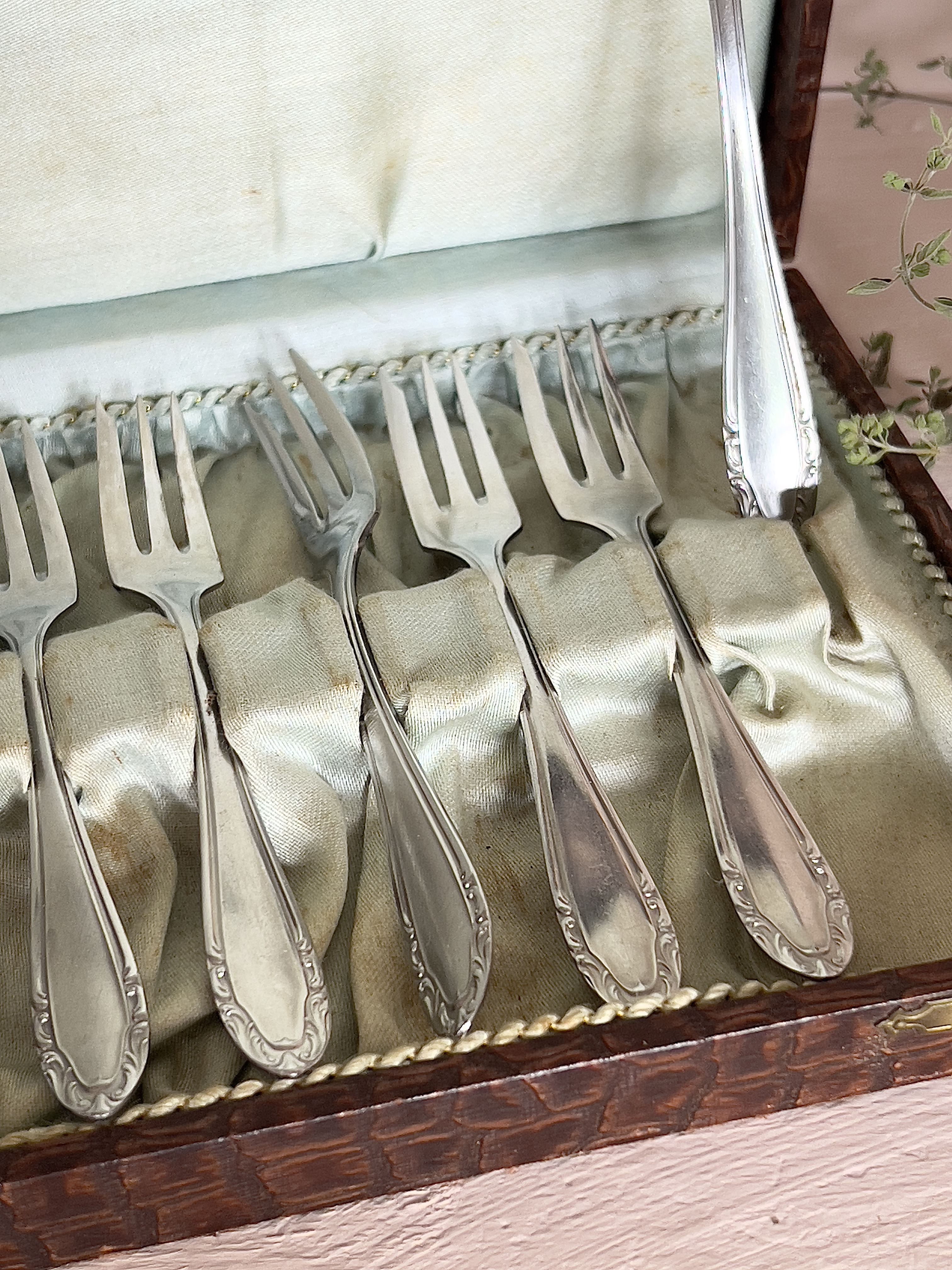 Wello cake forks in chest