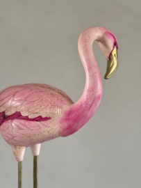 Pink flamingo