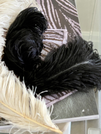 Set antieke struisvogel veren/pluimen