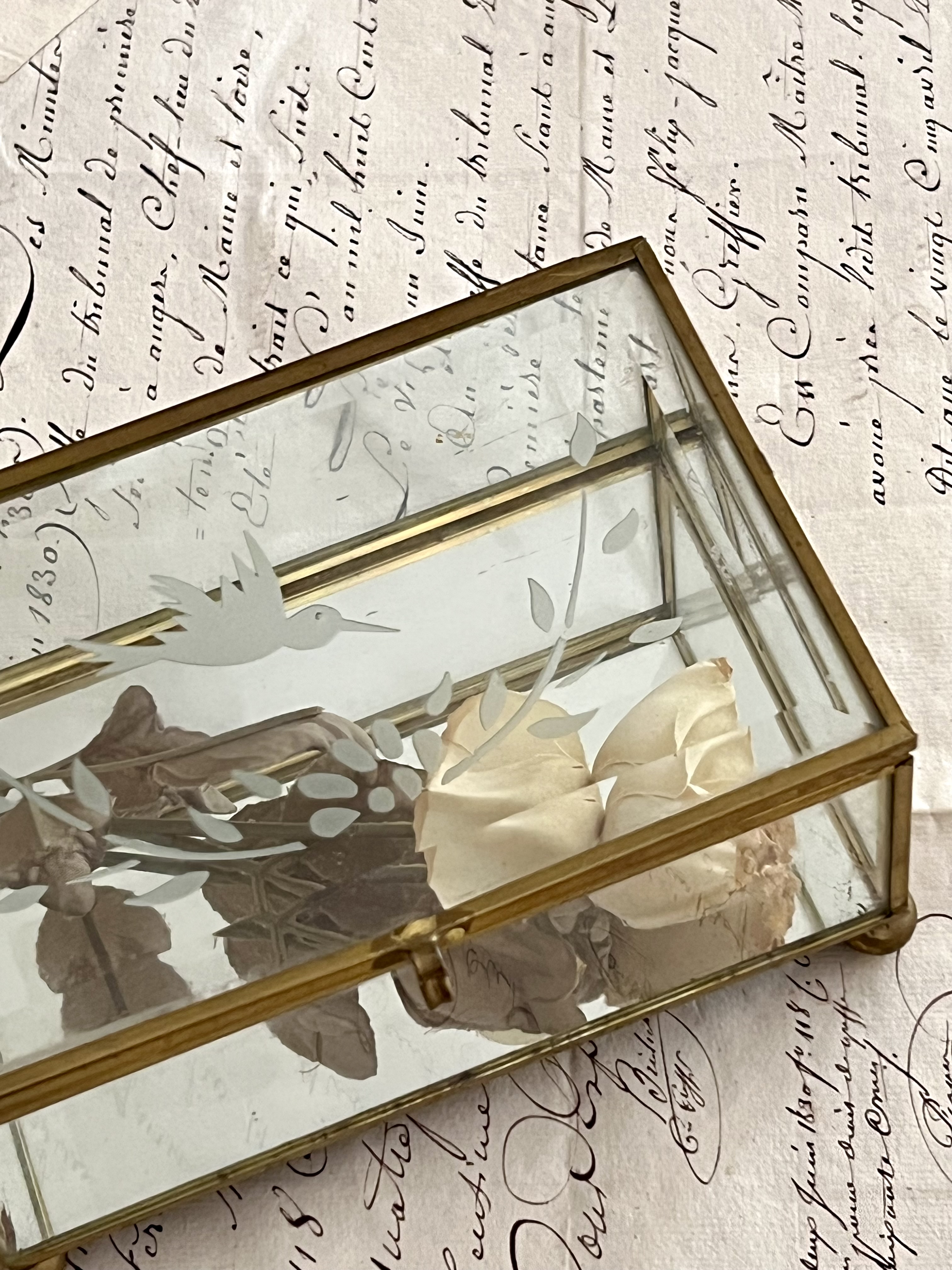 Vitrine kistje