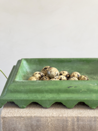 Green spittoon