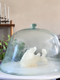 Antieke franse meloen cloche