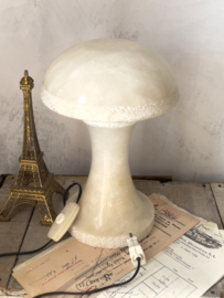 Bijzondere mushroom lamp