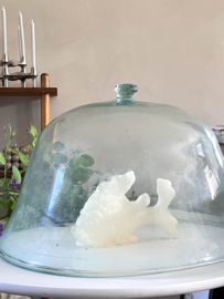 Antieke franse meloen cloche