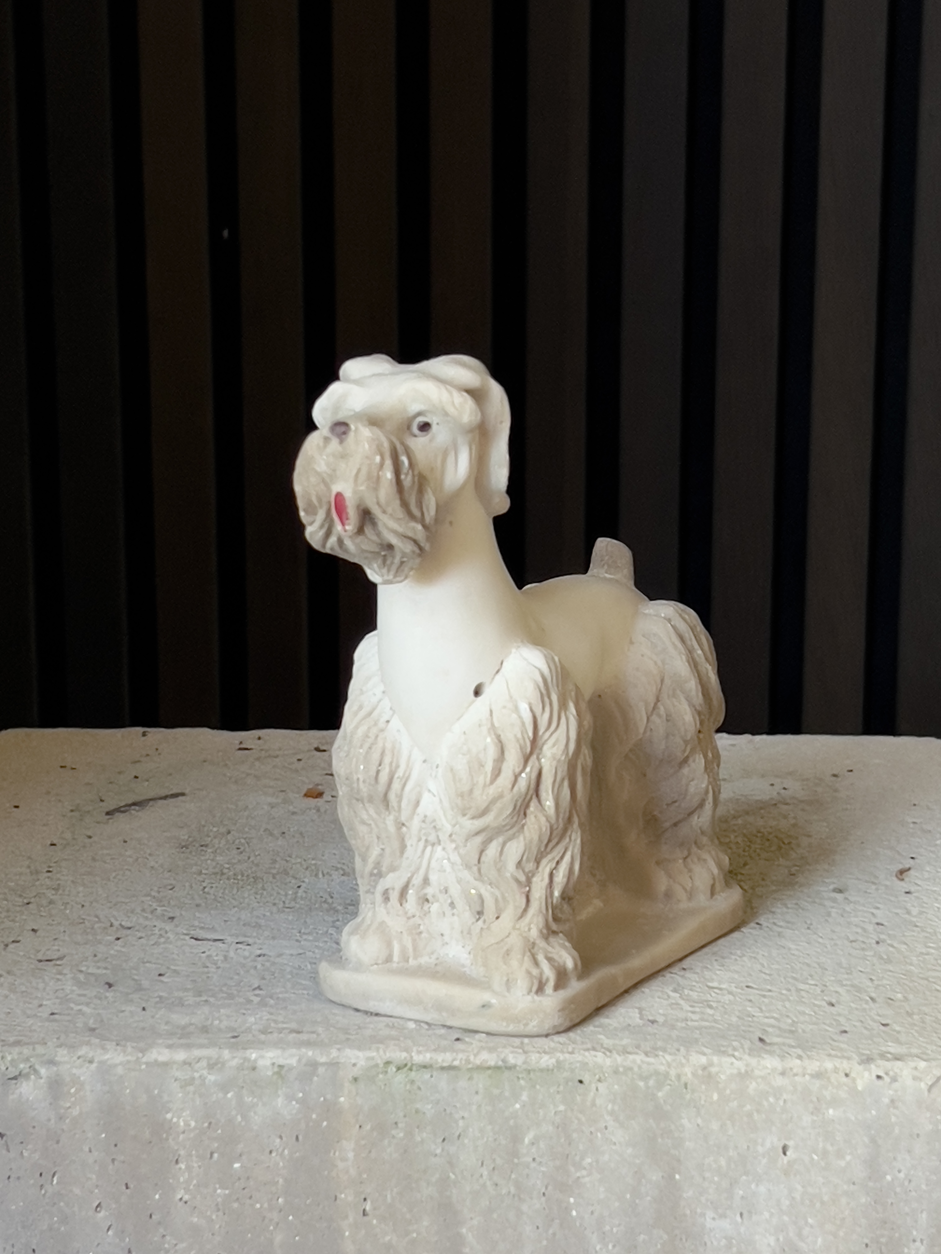 Oude terrier snauzer