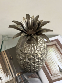 Beautiful ice bucket pine apple
