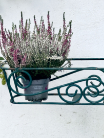 Oude jardinière