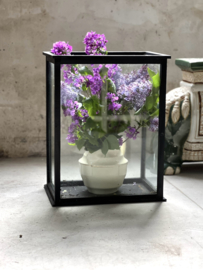 Mooie vitrine kast
