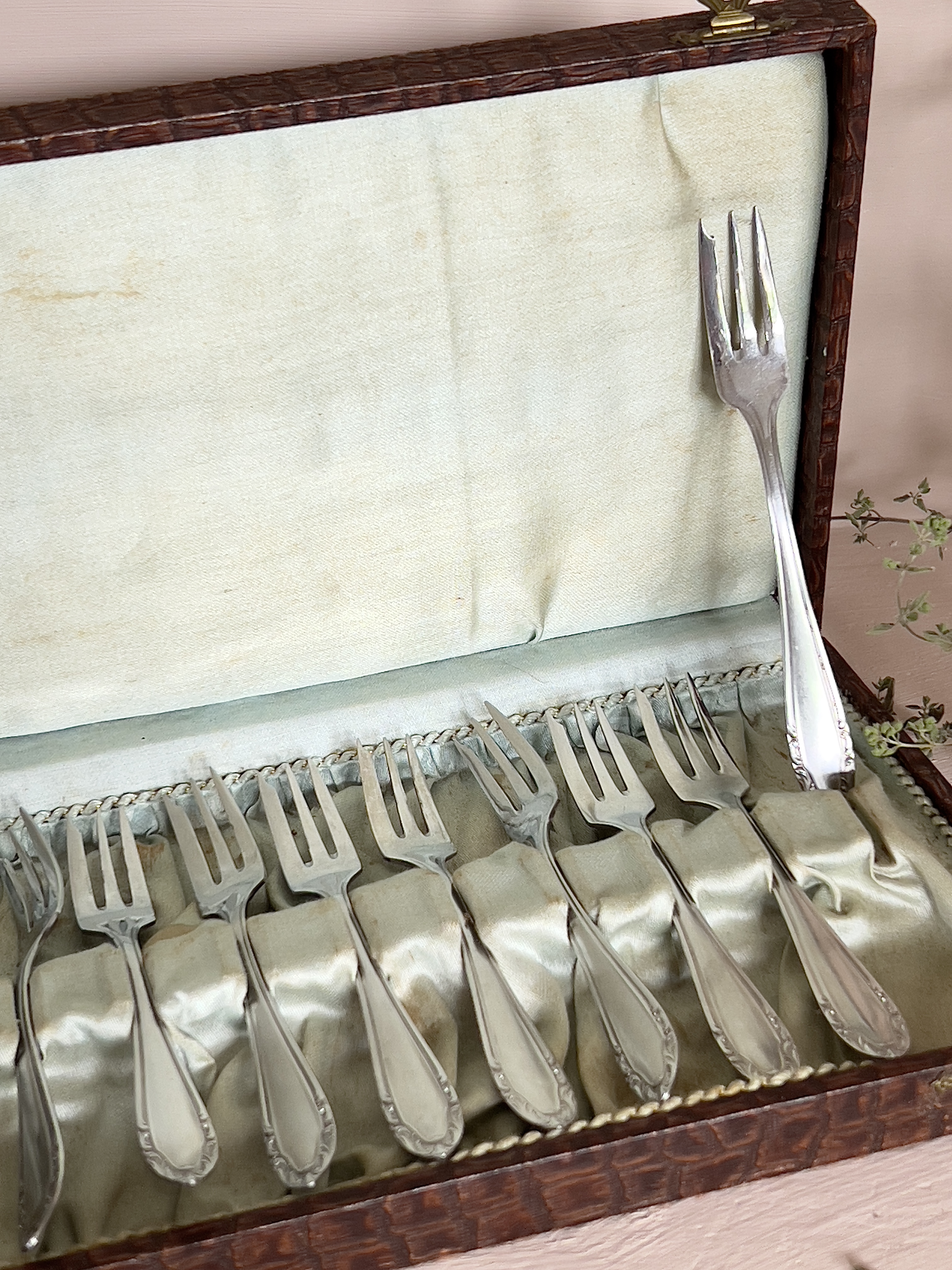 Wello cake forks in chest